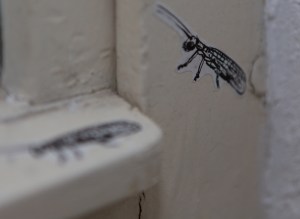 Floureszierende Florfliege (Chrysopa) im Flur