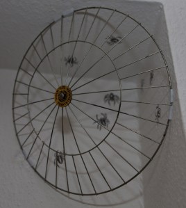 Wolfsspinnen 1 (Trochosa ruricola) im Netz