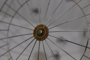 Wolfsspinnen 2 (Trochosa ruricola) im Netz