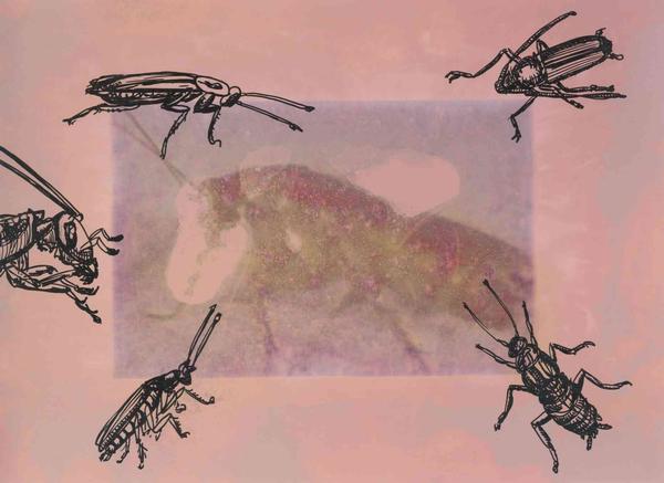  "Sie" aus der Serie "Sie-Ich-Er" 2008 mixed media auf Fotopapier 