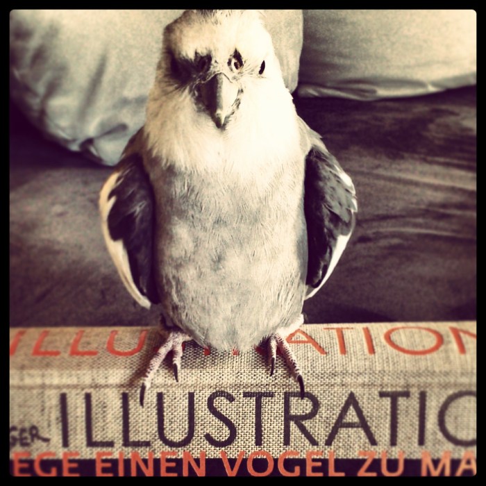 Paul und Scheinberger